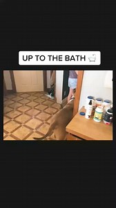 SPA DAY PART 2 #americanbully #dogsoftiktok #puppiesoftiktok #fypシ #xlbully #xlbullies #youpage #dogtrainingtips #frenchbulldog #bulldog #englishbulldog #bulldogsofinstagram #bulldogs #bulldogfrances #frenchbulldogsofinstagram #frenchbulldogs #bulldoglove #bulldoglife #americanbulldog #englishbulldogs #frenchbulldogpuppy #igbulldogs_worldwide #bulldogingles #englishbulldogsofinstagram #bulldogpuppy #bulldogsofig #französischebulldogge #frenchbulldoglove #french_bulldogs #frenchbulldoglife #briti