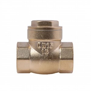 [Hot Item] 1/2 Inch Bsp NPT Quality China Supplier Brass Spring Check Valve
