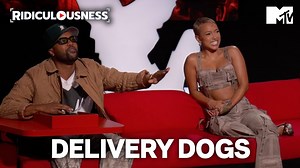 2K views · 12 reactions | Delivery dogs are just here to help and shower you with gifts  #mtvridiculousness | MTV Africa | Facebook