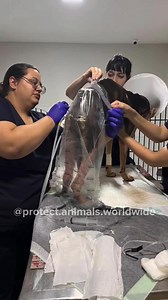 34 reactions · 13 comments |  WE HAD TO RUSH AND START THE...