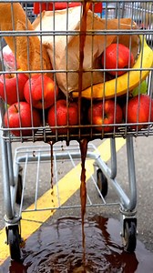 The dog, loyal and clever, helped the elderly woman get her revenge on the young couple who had wronged her. With sharp instincts and unwavering loyalty, the dog stood by her side, proving that sometimes, even the most innocent creatures have a way of balancing the scales of justice. In the end, the bond between the woman and her dog was a reminder that loyalty and love can be the greatest forces in seeking justice!!!! | You Right