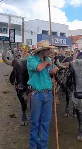 2.5K views · 78 reactions | O 13° Encontro de Carro de Boi em Nova...