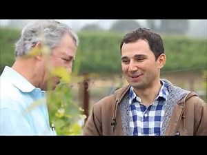 Flora Springs with Wine Vault & Bistro