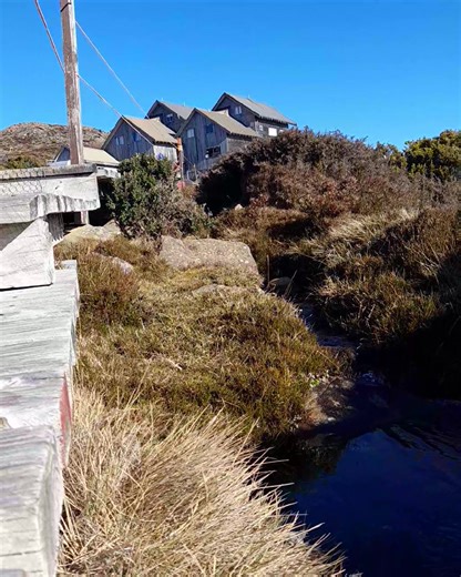 Welcome to another sunny Sunday at Ben Lomond 🥰 our cafe is open today, serving hot drinks and hot food for all mountain-goers! We're experiencing light winds, clear skies and warm sunshine. It's shaping up to a beautiful, temperate, ideal day for bushwalkers and alpine enthusiasts. Come explore the endless pools, streams, mini-waterfalls and unique flora this place has to offer. 🌿 | Ben Lomond Snow Sports