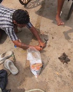 Preparing magical bait to catch the mulled fish under the launcher boat. #viral #video #fishing #fishingvideos | Chennai Fishing Club