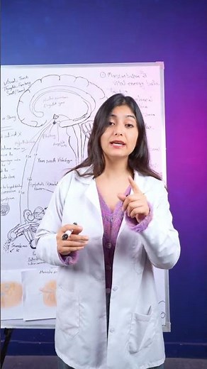 How Erections Really Works | Dr Sonali