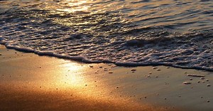 Video by Pixabay on Pexels