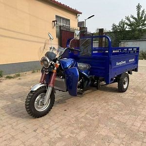 [Hot Item] High Quality Adult Electric Tricycle with Full Cover 3 Wheeler for Passenger