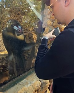 168K views · 5.9K reactions | Monkey see, monkey do | MetDaan Fashion | Facebook