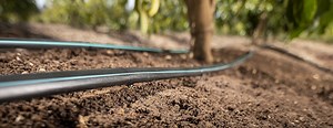 Understanding Drip Irrigation Systems and what are PC or Non-PC Drippers? - Metzer
