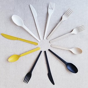 [Hot Item] Disposable Biodegradable PLA Spoon Plastic Spoon for Restaurant Compostable Cornstarch Food Spoon Cutlery