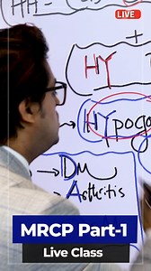 1.8K views · 65 reactions | Why are Ss-Boxes considered magical in...