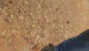 Toyota Hilux KZN Turbo Back! . The beast that started a generation of unbreakable hilux's. Given a birthday! . #4wd #ppdperformance #4x4australia_ #hilux_4x4 #hilux #4x4au #4x4life #4wding #toyota4wd #turbo #diesel #hiluxownersclub @hiluxownersclub #toyotahilux #toyotahilux4x4 #kzn #kznhilux #hiluxkzn #hiluxtoyota #hiluxclub #hiluxn60 #n60hilux #n60hiluxlove | PPD Performance