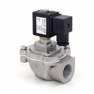 [Hot Item] Pulse Stainless Steel Electric Valve with Diaphragm and Coil 220V