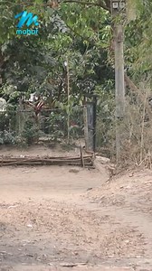 50K views · 376 reactions | ဘယ်လိုပြဿနာတွေနဲ့ကြုံတွေ့ရလို့များ...