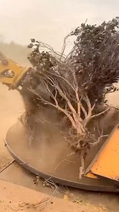 Powerful tree grinder! 👌👌👌 #grinder #tools #everyonehighlights #highlightseveryone #highlightseveryonefollowers2024 #highlightseveryonefollowers #highlights #highlightsシ゚ #highlights2024 #everyonehighlightsfollowers #everyonefollowers #everyoneシ゚ #everyone #everyoneactive #viralpost2024 #video2024 #fbreelsvideo #viralvideoシ #followersreels #trendingreels #viralshorts #shortsvideos #fb #shorts #trend #trending #AmaZing | Rowem Tigtig