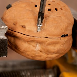 384K views · 587 reactions | Bluetooth speaker in a nut shell | Earth Wonders | Facebook