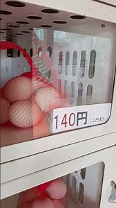 🥚Vending machine[260226]