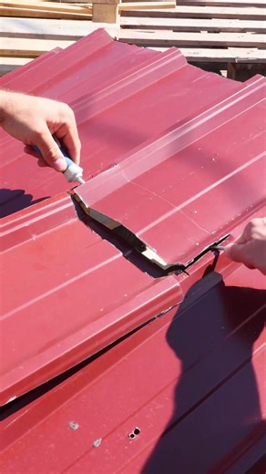 Peaceful Century on Reels