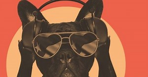 Newcastle bar to host a Doggy Disco with unlimited treats