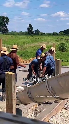 Compare the health of the Amish to ours...... | Ronda Carpenter Brewer