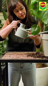 323K views | COMPO Jardinería on Reels | Facebook