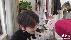 🐱 | Guys From Asia To Europe