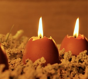 Multiple uses of eggs outside of the kitchen | JOON