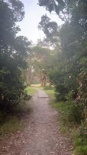 4K views · 41 reactions | Amazing morning for coffee, walk in nature and then beach ☀️ | Blue Lagoon Beach Resort | Facebook