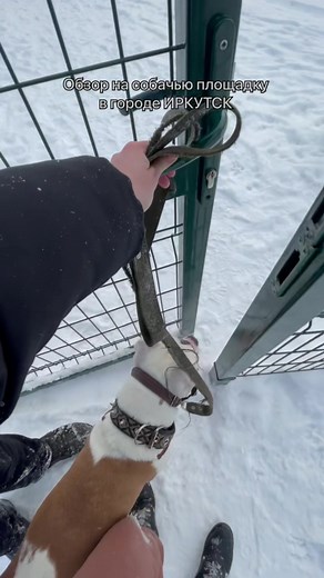 burbon_c_baikala on TikTok