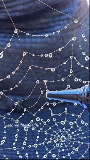 304K views · 4.5K reactions | The full tutorial for this dew kissed spiderweb is pinned on my reels  | Thread Handed Jill | Facebook