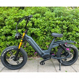 [Hot Item] 20 Inch Electric Chopper Bike 48V 21ah 500W Intergrated Wheel Electric Bike