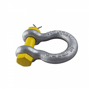 [Hot Item] Factory Price Forged Screw Pin Anchor Shackle G2130