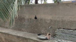 One side of swimming pool designing with Natural Stone cladding | Steven Stone Design