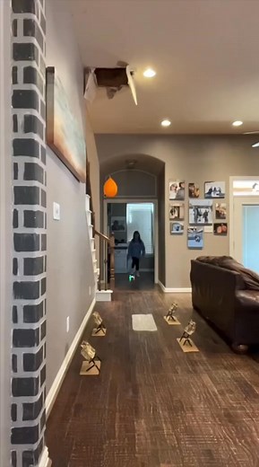 Setting traps 😂😂😂 #love #lol #newyork #couples #girl #viral #usa #relationship #family #california #photographer #foryou #happy #summer #wedding #fun #goals #couplecomedy #girlfriend #relationshipgoals #beautiful #cute #picoftheday #boyfriend #gauntlet #fyp #practice | Quedell Bridges