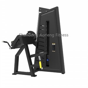 [Hot Item] 2025 Aon-Fitness Commercial Gym Pin Loaded Machine Fitness Camber Curl