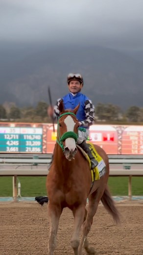 2.2K views · 301 reactions | Hard knocking Stilleto Boy gets his Grade I score today in the $500,000 Santa Anita Handicap. Congratulations to all the connections!  | FanDuel Racing | Facebook
