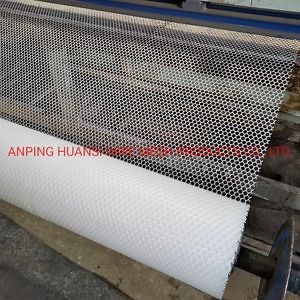[Hot Item] Extruded Plastic Plain Nets/Flexible Plastic Mesh/Plastic Flat Mesh
