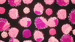 How flu strains get their names