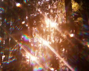 Beautiful Nature: A Captivating GIF Journey