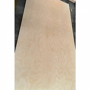 [Hot Item] Russian Birch Plywood Commercial 4X8 12mm 4mm 3mm Marine Board Plywood Plates Wood Plywood Hardwood Baltic Birch