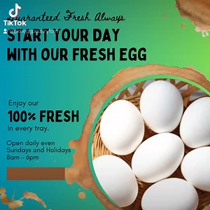 Fresh Egg (Graded Machine Sorted) available here at Barangay Anus, San Jose, Batangas. AVAILABLE SIZES: • Pullet • Small • Medium • Large • XL • Jumbo • Super Jumbo HARVEST TODAY, SOLD TODAY.. For more info, please message us at: Telephone number: ☎️ 0437565726 For walk-in and mainland Luzon clients: 📞 09178228535 📞 09176389120 📞 09380185559 For Bicol, MiMaRoPa and VisMin clients (shipping permits needed): 📞 09177074425 📞 09175030712 For delivery to NCR (delivery price): 📞 09176279114 📞 0