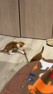 Sisters Julianne Moore and Debra Messing RR | Raise 'n Rescue