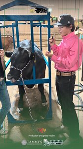 Sweetwater NOW on Reels