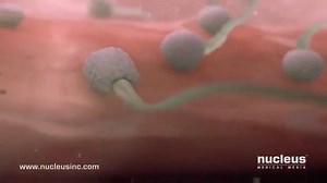 45K views · 440 reactions | Ovulation is the part of the menstrual...