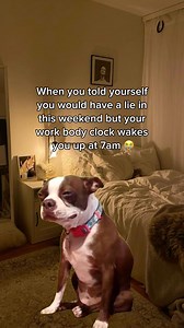 The ultimate self betrayal 😭 | Debenhams.com