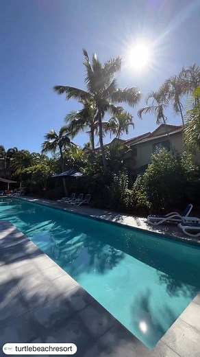 6.8K views · 43 reactions | Come hang out by our adults only pool and soak up the serenity ☀️ Book Direct | www.turtlebeach.com.au  | Turtle Beach Resort | Facebook
