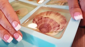 Bring the beach home with you and make these seashell coasters. Directions: http://ow.ly/wPLu30cKD5K | CheapCaribbean.com