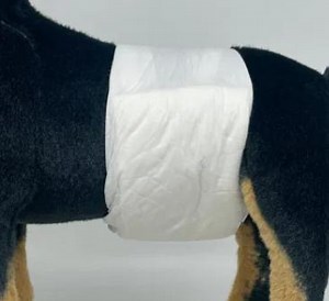 [Hot Item] Premium Puppy Training Diapers with Complimentary Sample for Testing