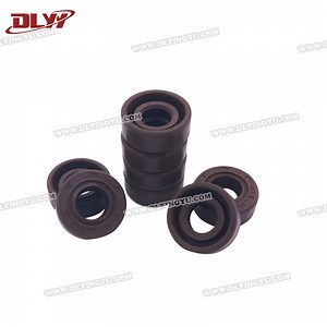 [Hot Item] DN3760 a/as/B/BS NBR Nitrile/Buna-N Oil Seal, Tc/Sc/Tb Rotary Shaft Seal, NBR/FKM Rubber Hydraulic Sc Machinery Oil Seal